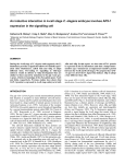 An inductive interaction in 4-cell stage C. elegans embryos involves