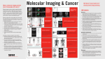 What is molecular imaging and how does it help people with cancer