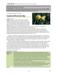 Weed Control Handbook - Weed Research and Information Center