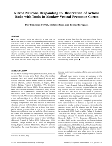 Mirror Neurons Responding to Observation of Actions Made with