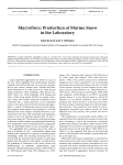 Macroflocs: Production of Marine Snow in the Laboratory