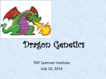 Dragon Genetics - Teach North Texas