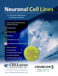 Neuronal Cell Lines