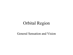 Orbital Region