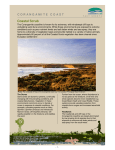 Coastal Scrub - Corangamite Catchment Management Authority