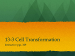 13-3 Cell Transformation