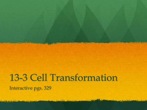 13-3 Cell Transformation