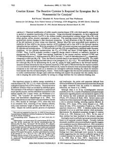 Creatine kinase: The reactive cysteine is required for synergism but