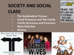 SOCIETY AND SOCIAL CLASS The Socialization Process Social