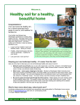 Healthy soil for a healthy, beautiful home