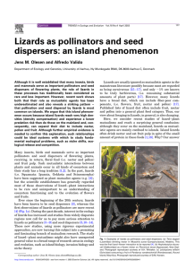 Lizards as pollinators and seed dispersers: an island