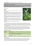 Weed Control Handbook - Weed Research and Information Center