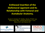 Entheseal Inser on of the Iliofemoral Ligament and Its Rela onship