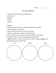 Cheek Cell Lab