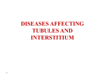 Acute Pyelonephritis