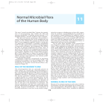 Normal Microbial Flora of the Human Body