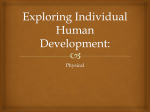 Exploring Individual Human Development: