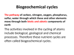 Environmental Geochemistry