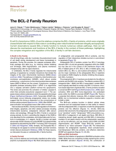 1. The BCL-2 Family Reunion.