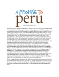 About the Project - A Promise To Peru