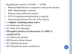 4-Catabolism of Purine Nucleotides