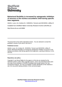 Behavioral flexibility is increased by optogenetic inhibition of