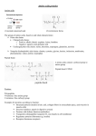 Proteins amino acids spreadsheet