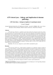 ATP citrate lyase – biology and implication in human