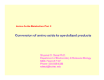 Conversion of amino acids to specialized products