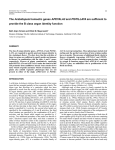 The Arabidopsis homeotic genes APETALA3 and PISTILLATA are