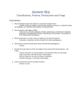 answer_key_review_classification_protists_prokaryotes__fungi
