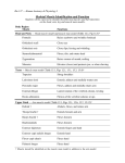 Skeletal Muscle Identification and Function