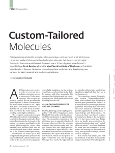 Custom-Tailored Molecules - Max-Planck