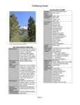 Coniferous Forest - Great Basin Bird Observatory