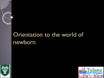 Orientation To the world of newborn