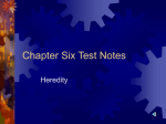 Chapter Six Test Notes