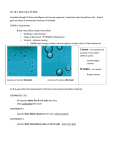 S strain