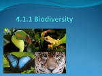 Biodiversity Notes