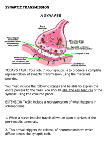 SYNAPTIC TRANSMISSION