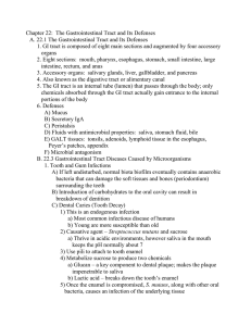 Chapter 22: The Gastrointestinal Tract and Its Defenses