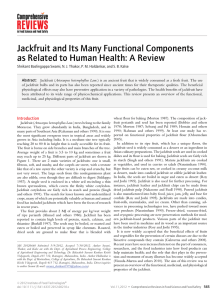 Jackfruit and Its Many Functional Components as Related to Human