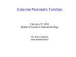 Exocrine Pancreatic Function