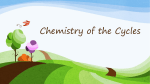 Chemistry of the Cycles
