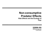 Non-consumptive Predator Effects