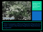 * Give 2 examples of Natural Vegetative Reproduction * Give 1