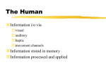 chap1 - Human Computer Interaction