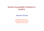 Solvent Accessibility Prediction in proteins