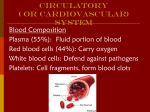 Circulatory System - Mercer Island School District