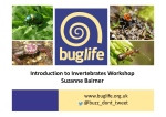 Intro to Invertebrates training day guide here