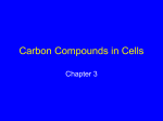Carbon Compounds In Cells
